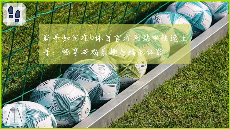 新手如何在b体育官方网站中快速上手，畅享游戏乐趣与精彩体验